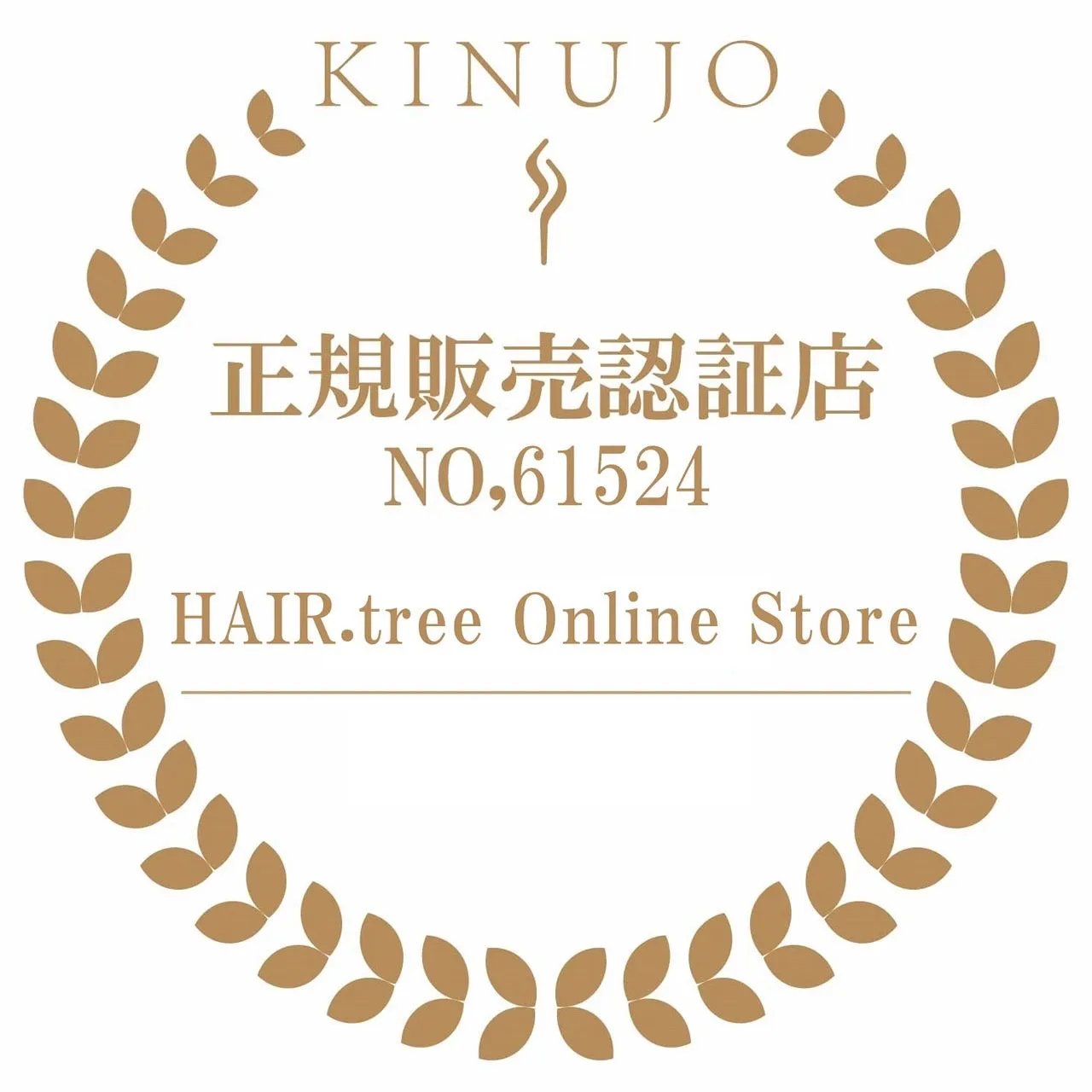 【加盟店限定10%OFF】KINUJO 　 W～worldwidemodel～ ワールドワイドモデル  シルクプレート 《海外兼用ストレートアイロン》