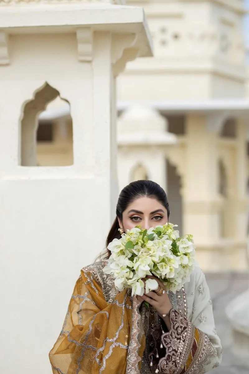 Imrozia Embellished Organza Pakistani Party Wear Suit Sheen IMR203