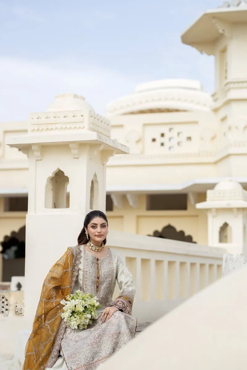 Imrozia Embellished Organza Pakistani Party Wear Suit Sheen IMR203