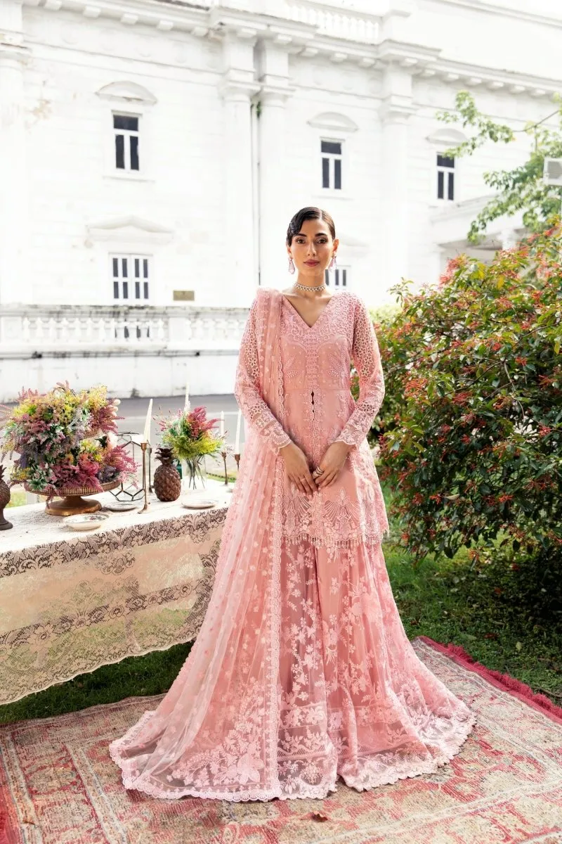 Imrozia Serene Maia S-1077 Miquelle Wedding Wear Sharara IMR164