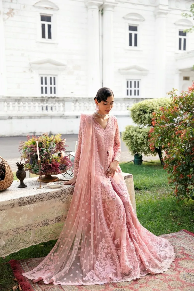 Imrozia Serene Maia S-1077 Miquelle Wedding Wear Sharara IMR164