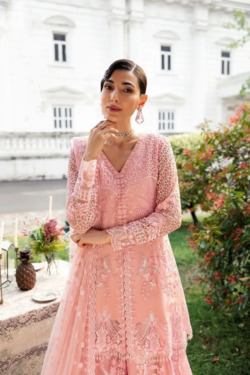 Imrozia Serene Maia S-1077 Miquelle Wedding Wear Sharara IMR164