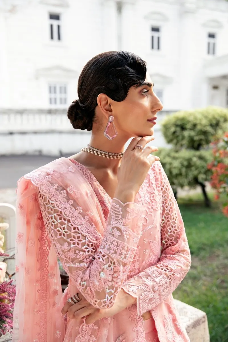 Imrozia Serene Maia S-1077 Miquelle Wedding Wear Sharara IMR164